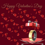 SmartFit Health Ring VD